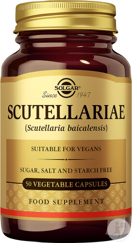 Solgar Scutellariae Scutellaire 50 Gélules Végétales