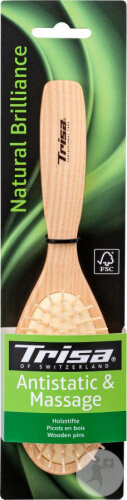 Trisa Natural Brilliance Brosse À Cheveux Pneumatique Pics En Bois 1 Pièce