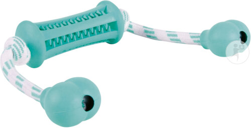 Trixie Denta Fun Bâton Avec Corde Menthe Caoutchouc 9cm/37cm 1 Pièce