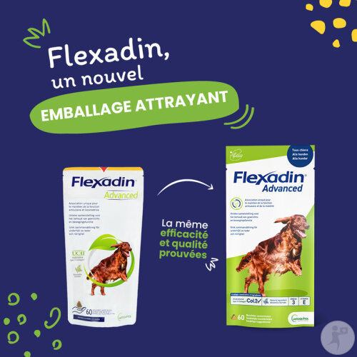 Vétoquinol Flexadin Advanced Aliment Complémentaire Pour Chiens Boswellia Serrata 60 Bouchées-5