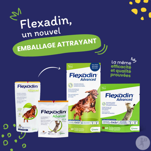 Vétoquinol Flexadin Advanced Aliment Complémentaire Pour Chiens Boswellia Serrata 60 Bouchées-6