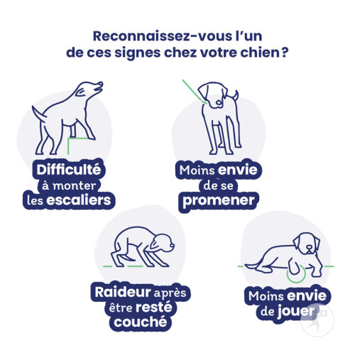 Vétoquinol Flexadin Advanced Aliment Complémentaire Pour Chiens Boswellia Serrata 60 Bouchées-7