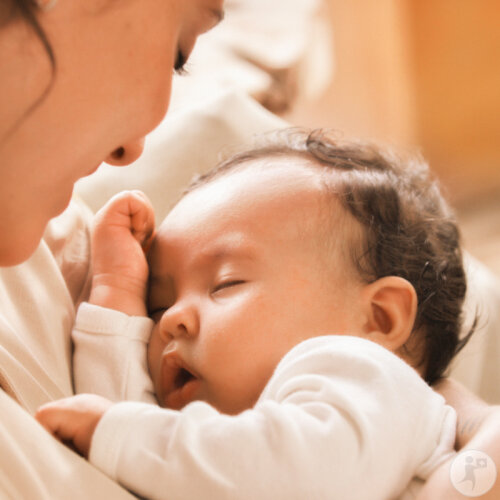 Weleda Mama Pommade Pour Mamelons Tube 25g-3