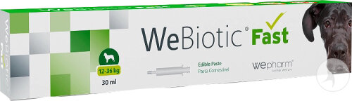 Wepharm WeBiotic Fast Fonction Intestinale 12-36kg 30ml