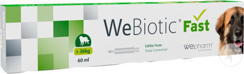 Wepharm WeBiotic Fast >36kg Fonction Intestinale 60ml
