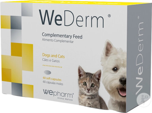 Wepharm WeDerm Pour Une Peau Et Un Pelage Sains 60 Capsules