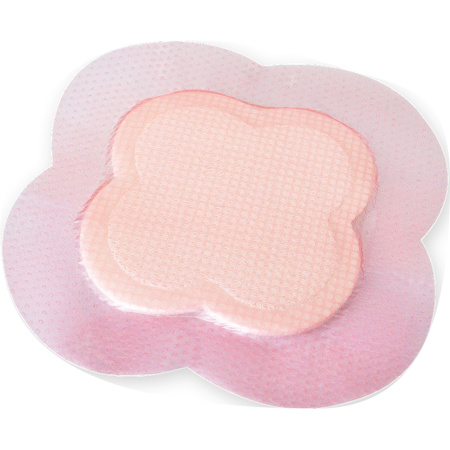 Allevyn Life Hydrocellulair Verband 21x21cm Stuks 10 (66801070)