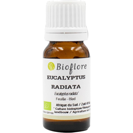 Bioflore Etherische Olie Eucalyptus Radiata Bio 10ml