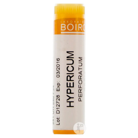 Boiron Hypericum Perforatum 200K Globules 1 Stuk