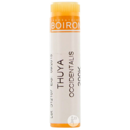 Boiron Thuya Occidentalis 200K Globules 1 Stuk