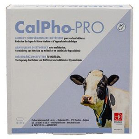 Calpho-Pro 12x95g