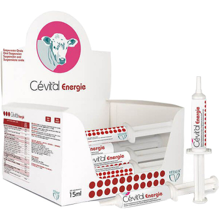 Cevital Energie Pasta 20x15ml