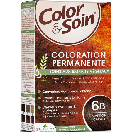 Color & Soin Permanente Kleuring Met Plantaardige Extracten 6B Cacaobruin 1 Kit