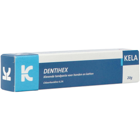 Dentihex Tandpasta Tube 20g