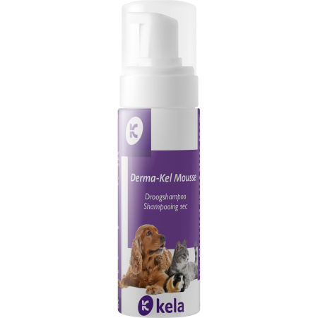 Derma-Kel Droogshampoo Mousse Fles 150ml