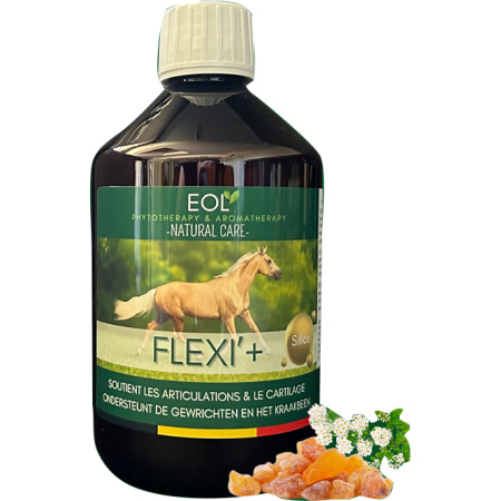 Essence Of Life Eol Flexi 1l