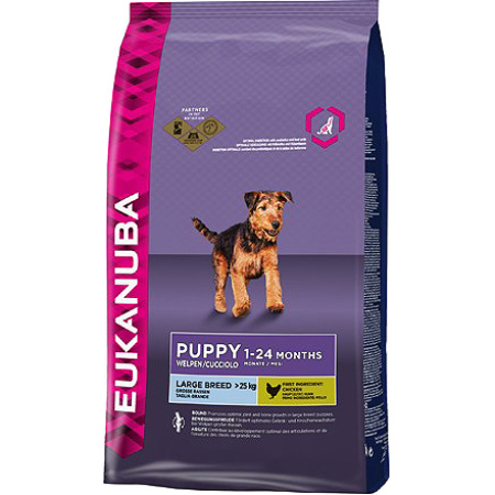 Eukanuba Dog Puppy En Junior Large 12kg