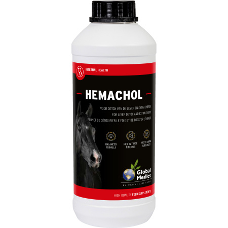 Global Medics Hemachol Leverontgifting Paardenvoedersupplement 1l