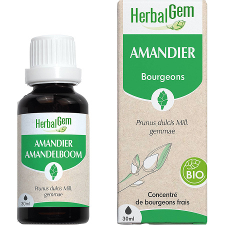 Herbalgem Amandel Geconcentreerd Moeder-Maceraat Bio 30ml