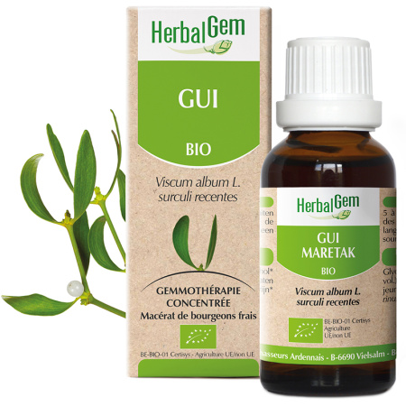 Herbalgem Maretak Geconcentreerde Moeder-Maceraten Bio Fles 30ml