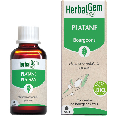 Herbalgem Plataan Geconcentreerde Moeder-Maceraten Bio Fles 30ml