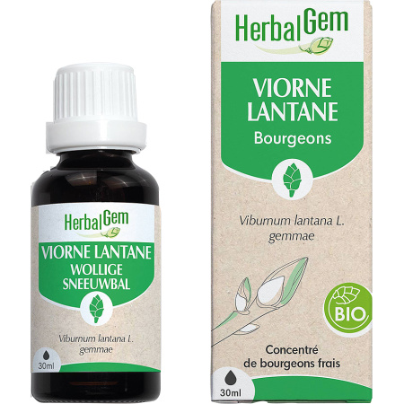 Herbalgem Sneeuwbal Geconcentreerde Moeder-Maceraten Bio 30ml