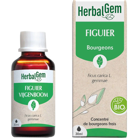 HerbalGem Vijgenboom Bio Concentraat Van Verse Knoppen 30ml