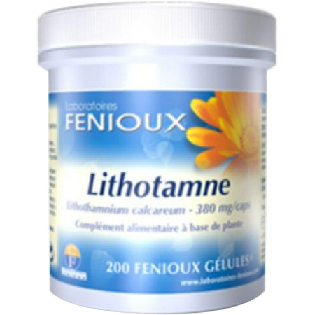 Laboratoires Fenioux Lithotamne 200 Capsules