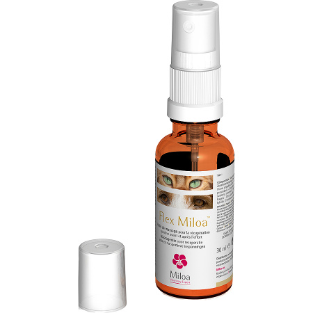 Miloa Flex Miloa Massageolie Flacon Met Verstuiver 30ml