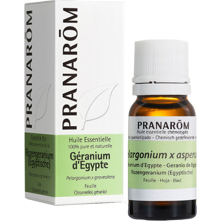 Pranarôm Rozengeranium (Egyptische) Essentiële Olie Fles 10ml