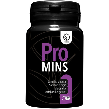 Dynarop Promins 120 Tabletten