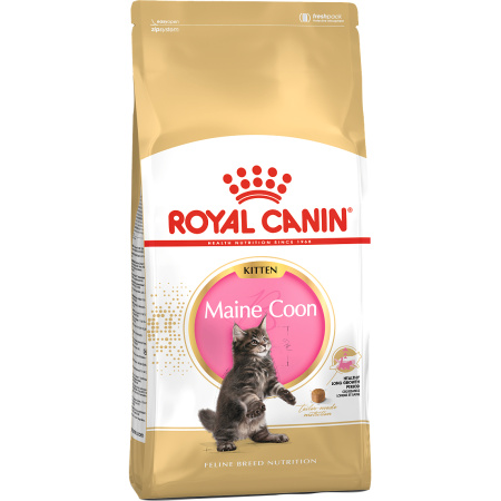 Royal Canin Feline Breed Nutrition Kitten Maine Coon 4kg