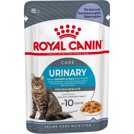 Royal Canin Feline Care Nutrition Urinary Care In Jelly 12x85g