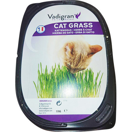 Vadigran Kattenkruid Bakje 170g