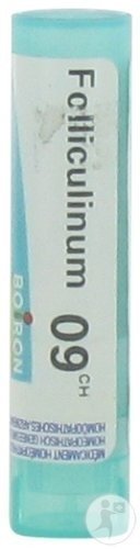 Boiron Folliculinum 9CH Granules 4g | Newpharma