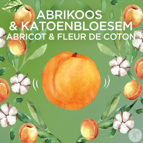 L’Oréal Kids Shampoo Tropical Mango – 2x250 Ml, Tränenfrei, Parabenfrei, Für Glänzendes Kinderhaar