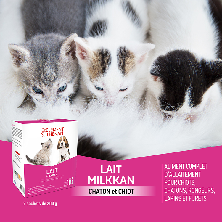 Cl&eacute;ment Th&eacute;kan Lait En Poudre Milkkan Allaitement Des Chiots Et Chatons 400g - Pharmacie en ligne - 1